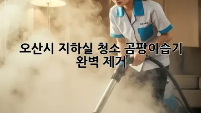 오산시 지하실 청소, 곰팡이&습기 완벽 제거!