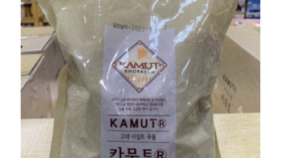 놓치면 후회! 해들원카무트1 리얼 후기 & 꿀팁🍯